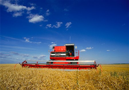 simsearch:700-05973573,k - Harvesting Wheat Near Hamiota, Manitoba, Canada Stock Photo - Rights-Managed, Code: 700-00003993