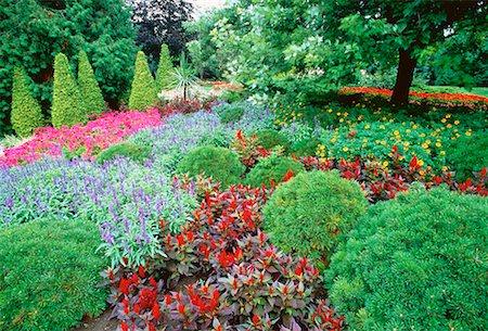 peter griffith - Cullen Gardens Whitby, Ontario, Canada Stock Photo - Rights-Managed, Code: 700-00014474