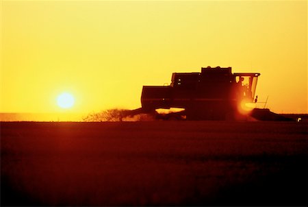 Silhouette of Combine Harvesting Wheat at Sunset Saskatchewan, Canada Stock Photo - Rights-Managed, Code: 700-00014708