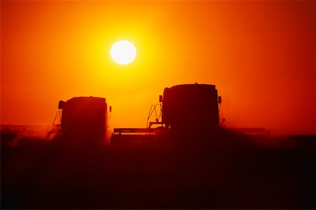 simsearch:600-00013556,k - Silhouette of Combines Harvesting Wheat at Sunset Saskatchewan, Canada Stock Photo - Rights-Managed, Code: 700-00014709