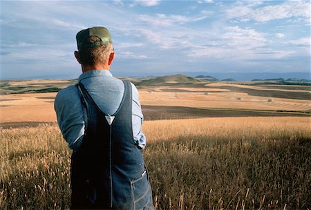 south dakota grain farm - Farmer Looking Out at Wheat Field, South Dakota, USA Stock Photo - Rights-Managed, Code: 700-00014936