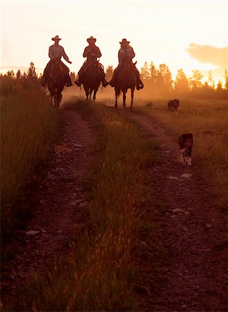 douglas lake ranch - Douglas Lake Ranch British Columbia, Canada Stock Photo - Rights-Managed, Code: 700-00016026