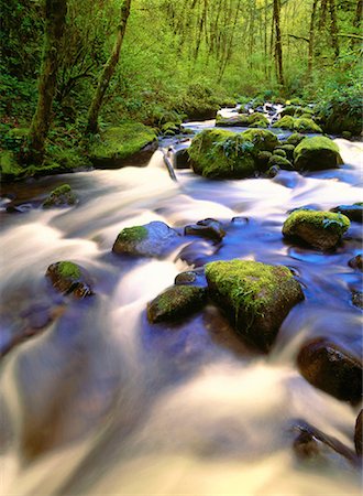 simsearch:700-00073991,k - Stream Columbia River Gorge Oregon, USA Stock Photo - Rights-Managed, Code: 700-00016233