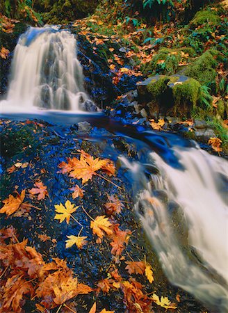simsearch:700-00073991,k - Shepperds Dell in Autumn Columbia River Gorge Oregon, USA Stock Photo - Rights-Managed, Code: 700-00016388
