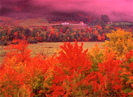 simsearch:700-00182848,k - Trees and Field in Autumn Margaree Valley, Nova Scotia Canada Stock Photo - Rights-Managed, Code: 700-00017718