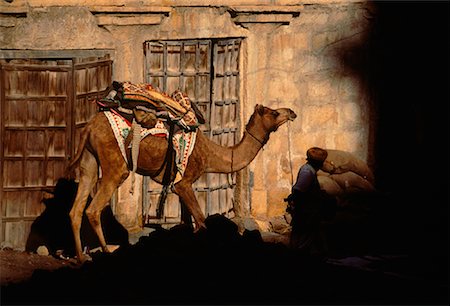 simsearch:700-02957995,k - Homme à dos de chameau à Jaisalmer Photographie de stock - Rights-Managed, Code: 700-00019581