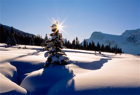 simsearch:700-00549253,k - Banff National Park in Winter Alberta, Canada Stock Photo - Rights-Managed, Code: 700-00019985