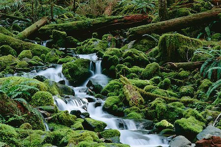 simsearch:700-00073991,k - Soleduck River Tributary Olympic National Park Washington, USA Stock Photo - Rights-Managed, Code: 700-00012437