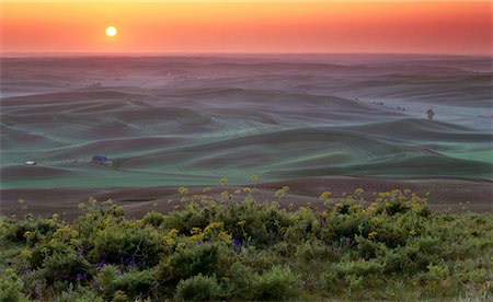 Rolling Hills at Sunset Steptoe Butte Whitman County, Washington, USA Stock Photo - Rights-Managed, Code: 700-00013079