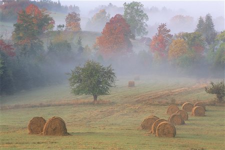 simsearch:700-00053425,k - Bales of Hay in Autumn with Morning Mist Near Kingston, New Brunswick Canada Stock Photo - Rights-Managed, Code: 700-00013353