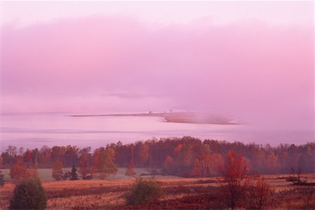 simsearch:700-00182848,k - Trees in Autumn with Morning Mist Belleisle Bay, New Brunswick Canada Stock Photo - Rights-Managed, Code: 700-00013374