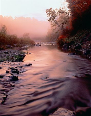 simsearch:700-00013865,k - Rouge River Rouge River Park Ontario, Canada Stock Photo - Rights-Managed, Code: 700-00013875