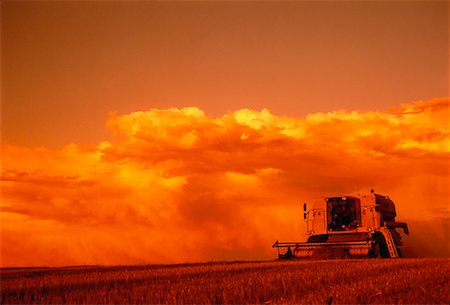 simsearch:600-00013556,k - Combine at Sunset Stock Photo - Rights-Managed, Code: 700-00026018
