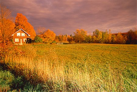 simsearch:700-00053425,k - Farm House in Autumn Knowlton, Quebec, Canada Stock Photo - Rights-Managed, Code: 700-00026585