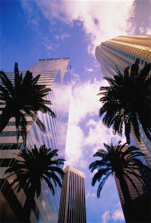 simsearch:700-00036346,k - Office Towers and Palm Trees Los Angeles, California, USA Stock Photo - Rights-Managed, Code: 700-00027889