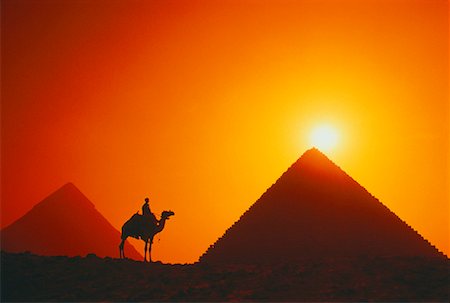 dromedary - Silhouette of Man on Camel near Pyramids at Sunrise Giza, Egypt Stock Photo - Rights-Managed, Code: 700-00020279