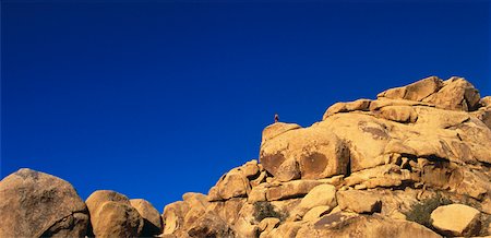 panoramic rock climbing images - Joshua Tree National Monument California, USA Foto de stock - Con derechos protegidos, Código: 700-00021835