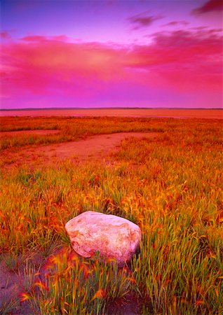 simsearch:700-00013865,k - Rock in Field of Foxtails at Sunset, Shore of Miquelon Lake Alberta, Canada Stock Photo - Rights-Managed, Code: 700-00021984
