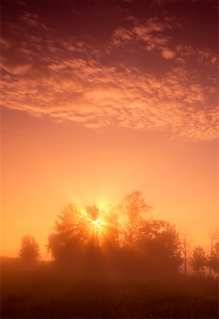 simsearch:700-00016300,k - Sunrise over Trees Near Sherwood Park, Alberta Canada Stock Photo - Rights-Managed, Code: 700-00022098