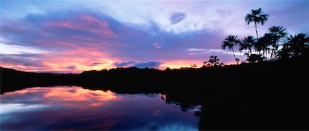 simsearch:700-00023229,k - Tropical Rainforest at Dusk Amazon Basin Napo Province, Ecuador Foto de stock - Con derechos protegidos, Código: 700-00023237