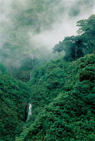 pictures of south america tropical waterfalls - Cloud Forest Andes Mountains Napo Province, Ecuador Stock Photo - Rights-Managed, Code: 700-00023230