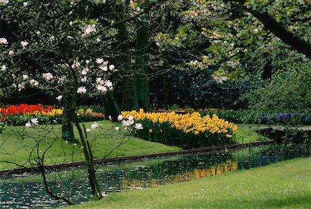 Keukenhof Gardens The Netherlands Foto de stock - Con derechos protegidos, Código: 700-00023902