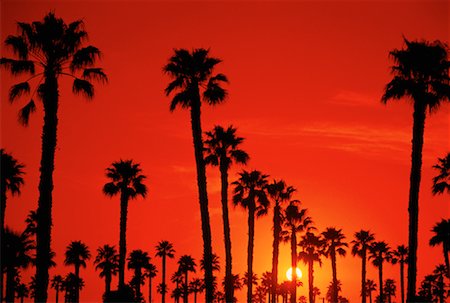 Silhouette of Palm Trees at Sunset Ventura, California, USA Stock Photo - Rights-Managed, Code: 700-00035993