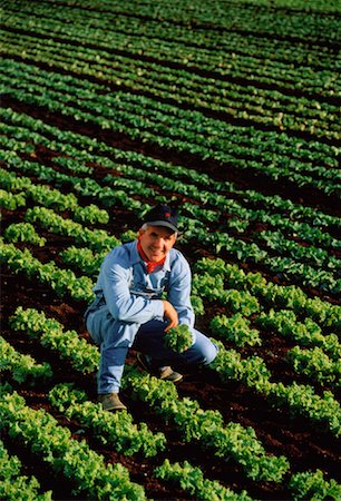 simsearch:700-00515479,k - Portrait of Lettuce Farmer Holland Marsh, Ontario, Canada Foto de stock - Con derechos protegidos, Código: 700-00039062