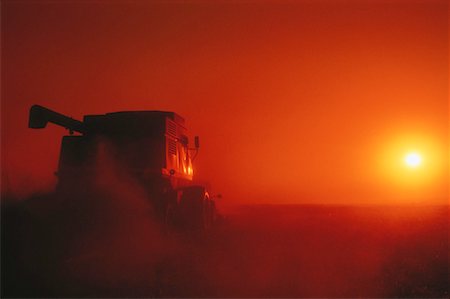 simsearch:600-00013556,k - Silhouette of Combining at Sunset Rockyford, Alberta, Canada Stock Photo - Rights-Managed, Code: 700-00030656