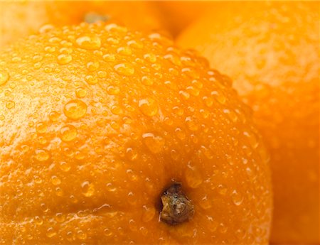 simsearch:700-00015318,k - Gros plan des Oranges avec des gouttes d'eau Photographie de stock - Rights-Managed, Code: 700-00031019