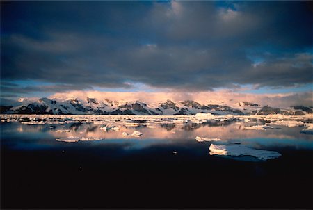 Open Pack-Ice South Orkney Islands, Antarctica Stock Photo - Rights-Managed, Code: 700-00031759