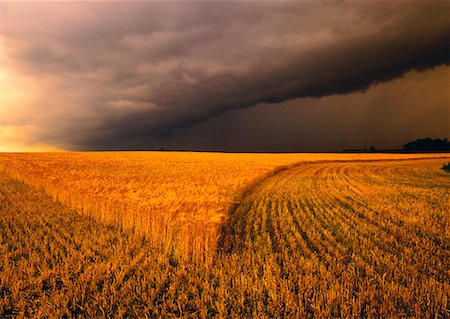 simsearch:700-00016300,k - Storm Clouds over Field Alberta, Canada Stock Photo - Rights-Managed, Code: 700-00033624