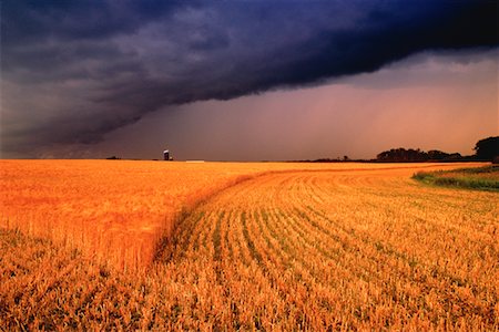 simsearch:700-00016300,k - Storm Clouds over Field Alberta, Canada Stock Photo - Rights-Managed, Code: 700-00033625