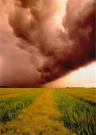 simsearch:700-00016300,k - Storm Clouds over Field Near Calmar, Alberta, Canada Stock Photo - Rights-Managed, Code: 700-00033626