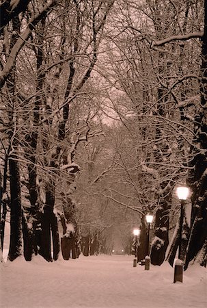 Hellbrunn Alley in Winter Salzburg, Austria Stock Photo - Rights-Managed, Code: 700-00033731