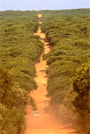 Dirt Road Through Forest Rocky River National Park Kangaroo Island, South Australia Australia Stock Photo - Rights-Managed, Code: 700-00045071