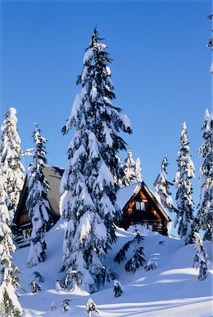 Log Cabin in Snow, Coast Mountains, British Columbia Canada Stock Photo - Rights-Managed, Code: 700-00042464