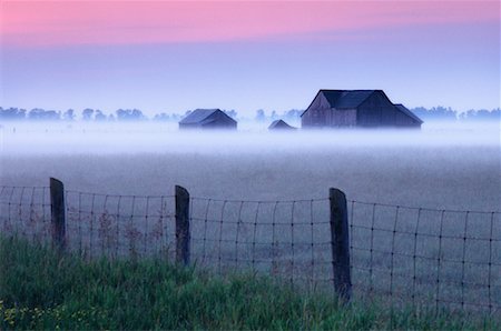 simsearch:700-06059677,k - Country Scene at Dawn with Mist Bruce Peninsula, Ontario, Canada Stock Photo - Rights-Managed, Code: 700-00043101