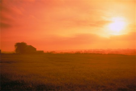 ranch nobody usa - Farmland at Sunset Austin, Texas, USA Stock Photo - Rights-Managed, Code: 700-00043164