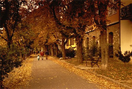 People Walking on Road Lined with Trees in Autumn Budapest, Hungary Stock Photo - Rights-Managed, Code: 700-00054409