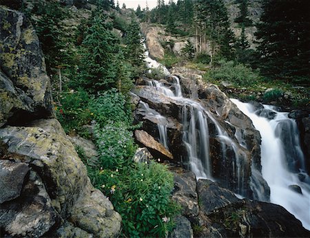 simsearch:700-00073991,k - Waterfall and Trees Colorado, USA Stock Photo - Rights-Managed, Code: 700-00054769