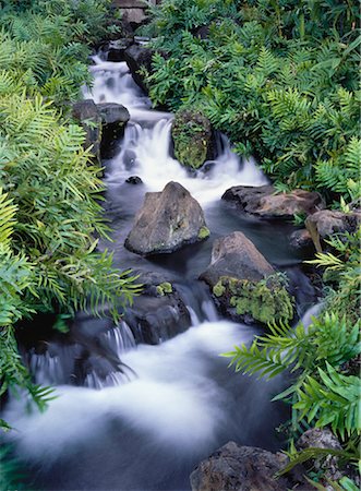 simsearch:700-00073991,k - Waterfall and Foliage Maui, Hawaii, USA Stock Photo - Rights-Managed, Code: 700-00055021