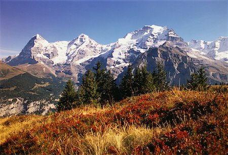 Overview of Landscape and Mountains in Autumn Jungfrau Region, Switzerland Stock Photo - Rights-Managed, Code: 700-00057355