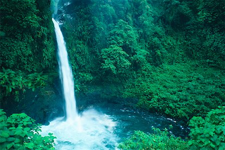 simsearch:700-00023229,k - Waterfall and Foliage Costa Rica Foto de stock - Con derechos protegidos, Código: 700-00057630