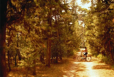 dogs riding bike - Man Sitting on Bike on Path with Dog, near Avignon, France Stock Photo - Rights-Managed, Code: 700-00058893