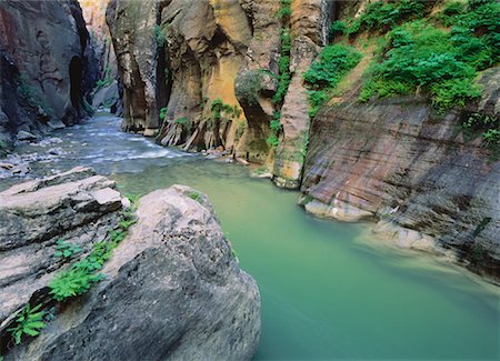 The Narrows, Virgin River Zion National Park Utah, USA Stock Photo - Rights-Managed, Code: 700-00050316