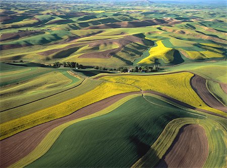 palouse - Aerial View of Palouse Hills Near Colfax, Washington, USA Stock Photo - Rights-Managed, Code: 700-00050624