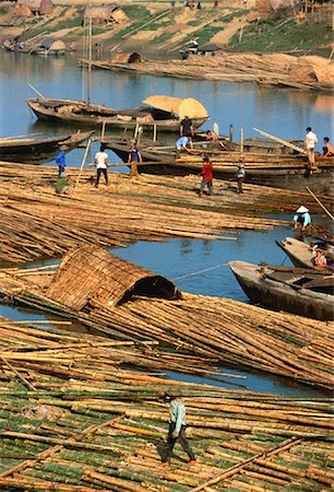 simsearch:700-00059302,k - Workers Collecting Bamboo Bien South of Hanoi, Vietnam Stock Photo - Rights-Managed, Code: 700-00050914