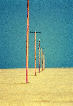 simsearch:700-00034776,k - Telephone Poles in Field Stock Photo - Rights-Managed, Code: 700-00052141