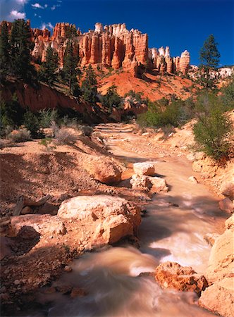 simsearch:700-00073991,k - Bristlecone Pines and Hoodoos Paria River, Red Canyon Badlands, Utah, USA Stock Photo - Rights-Managed, Code: 700-00052574